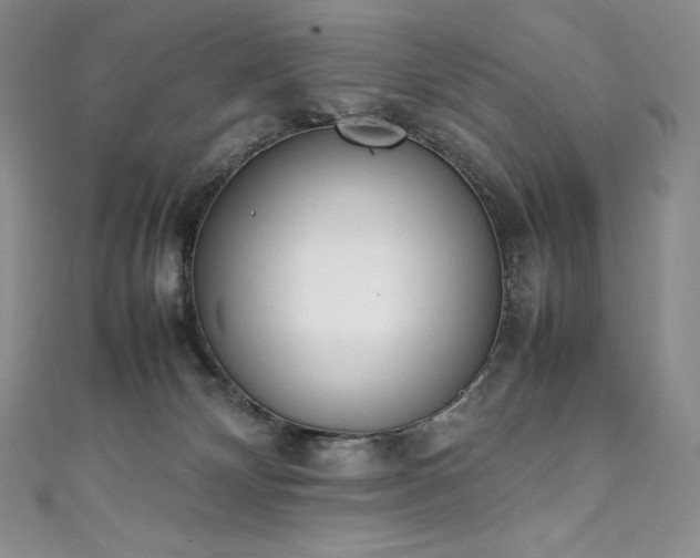 X0000111140132200906301238