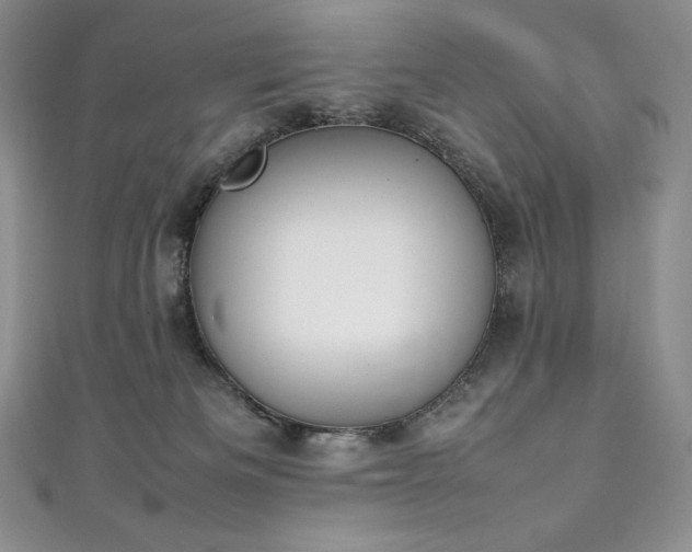 X0000111140133200906301238