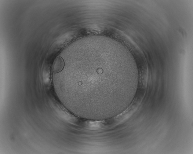 X0000111140134200906301238