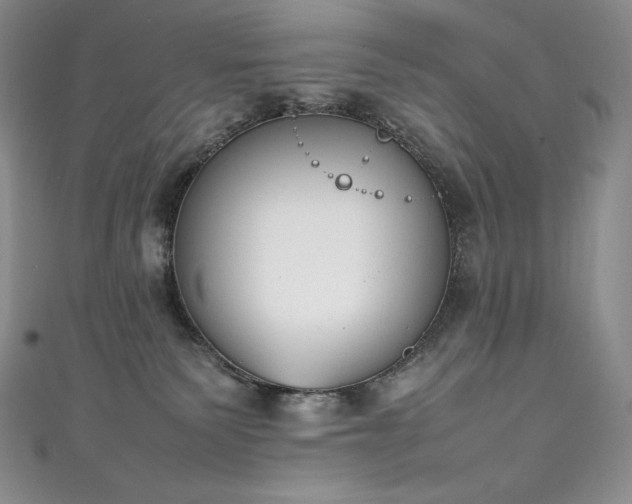 X0000111140135200906301238