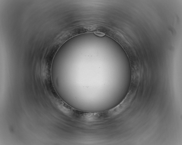 X0000111140136200906301238