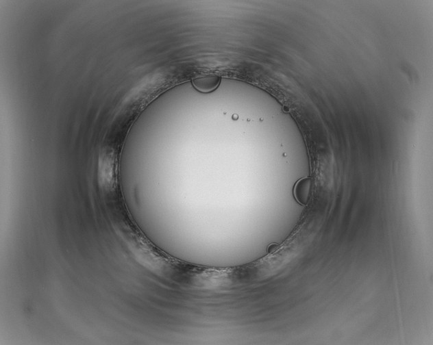 X0000111140138200906301238