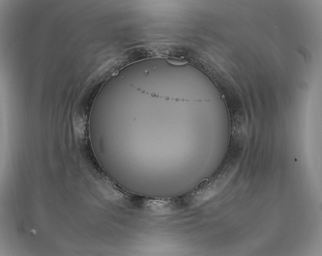 X0000111140139200906301238