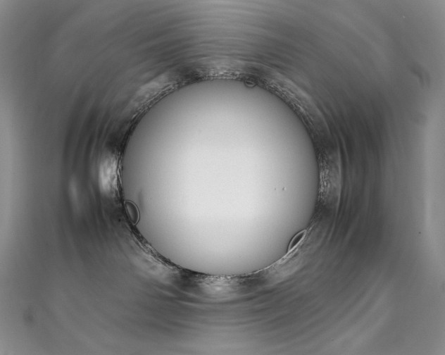 X0000111140142200906301238