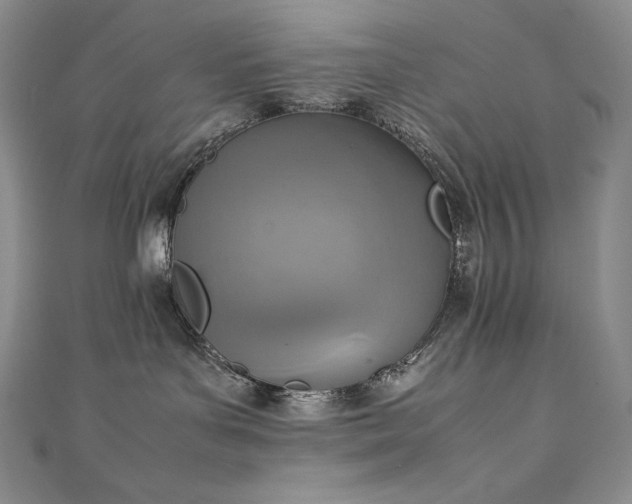 X0000111140143200906301238