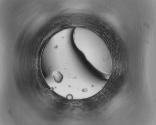 X0000111140146200906301237