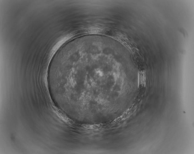 X0000111140147200906301237