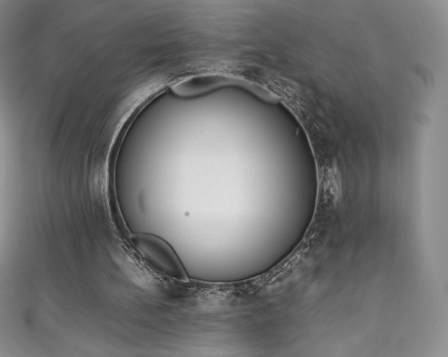 X0000111140148200906301237