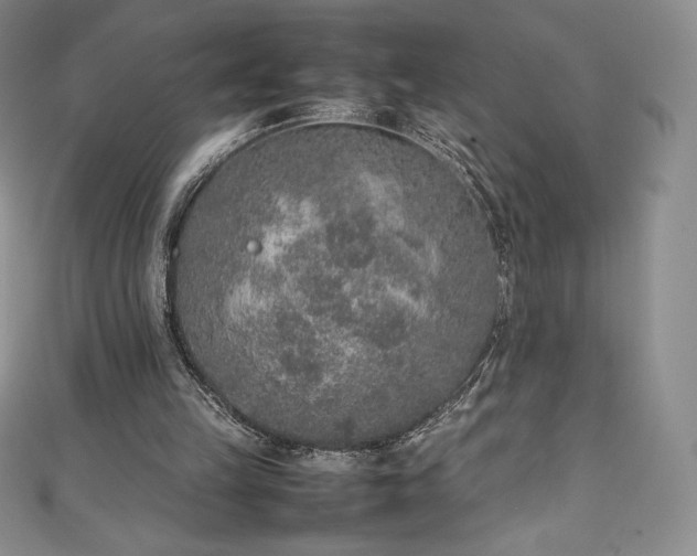 X0000111140149200906301237