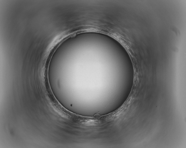 X0000111140151200906301237