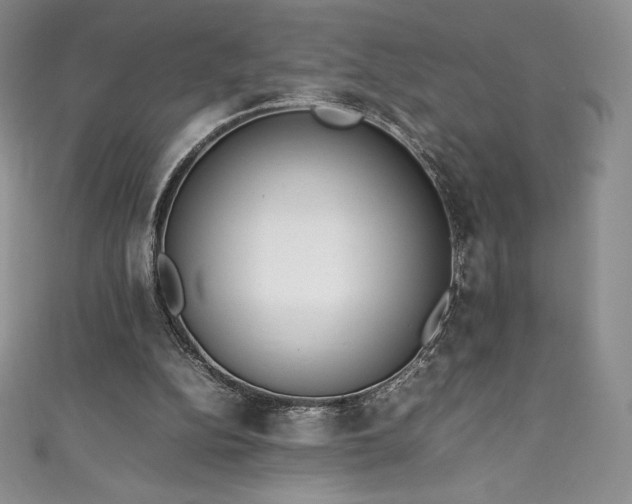 X0000111140152200906301237