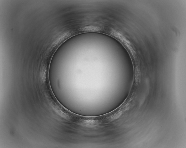 X0000111140153200906301237