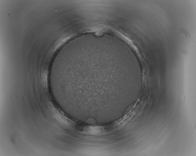 X0000111140154200906301237