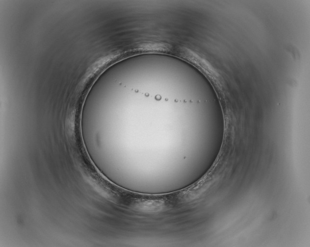 X0000111140155200906301237