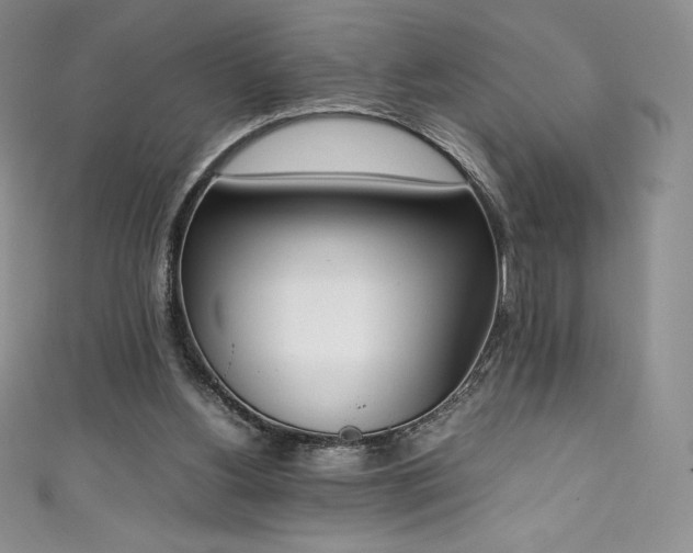 X0000111140156200906301237