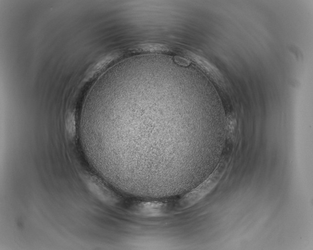 X0000111140158200906301237