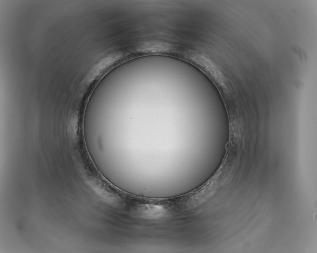 X0000111140159200906301237