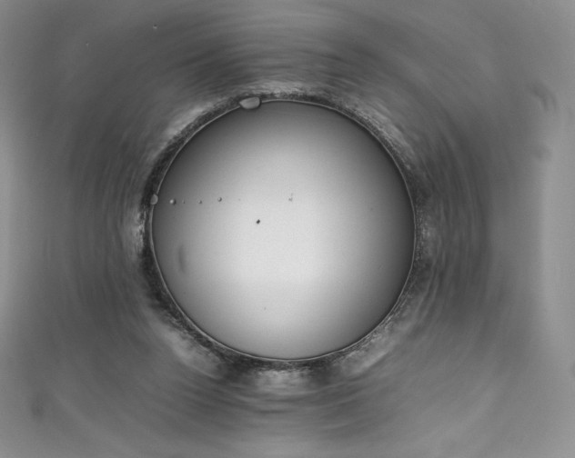 X0000111140160200906301237