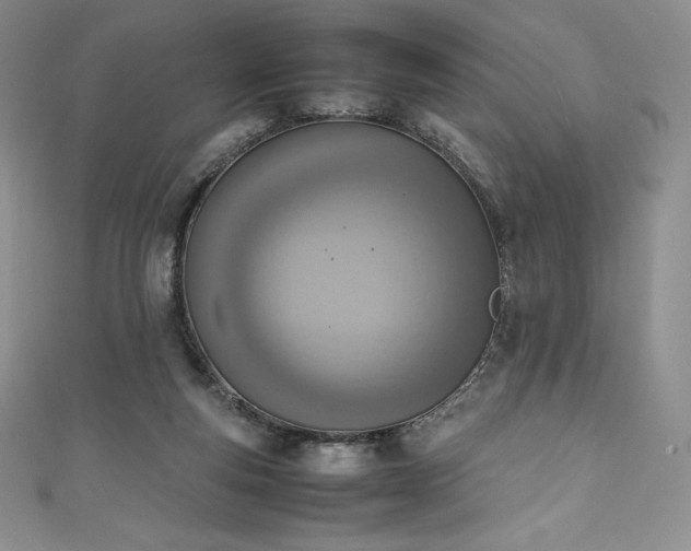 X0000111140163200906301237