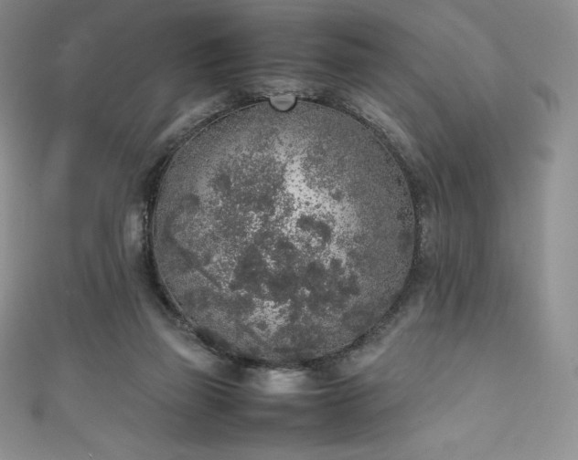 X0000111140165200906301237