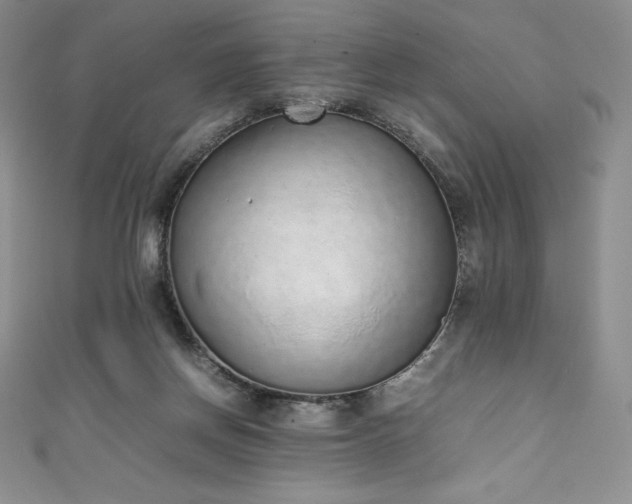 X0000111140166200906301237