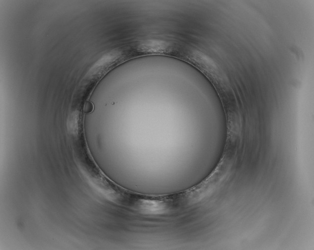 X0000111140167200906301237