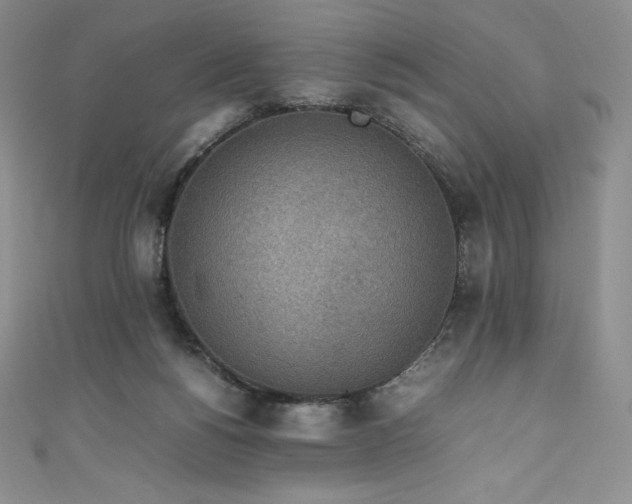 X0000111140168200906301237