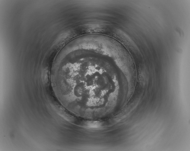 X0000111140169200906301237