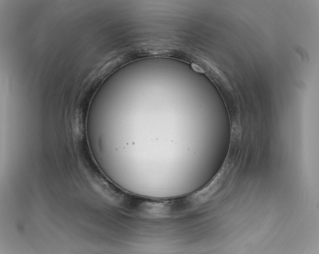 X0000111140170200906301237