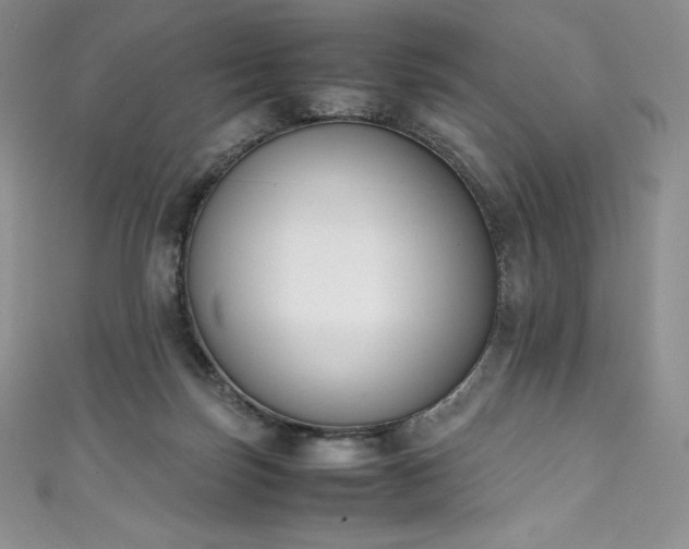 X0000111140171200906301237