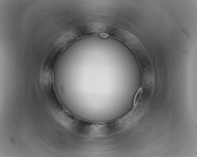 X0000111140172200906301237