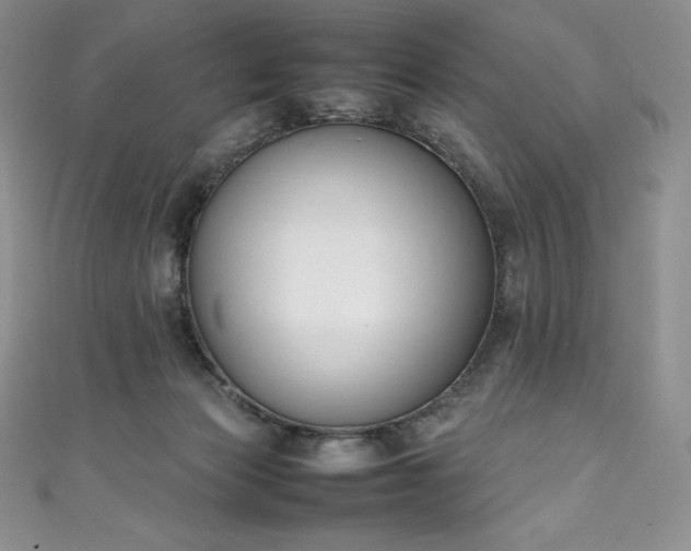 X0000111140173200906301237