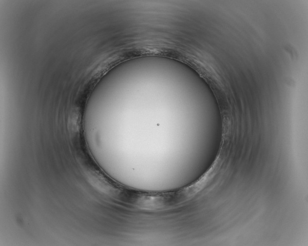 X0000111140174200906301237