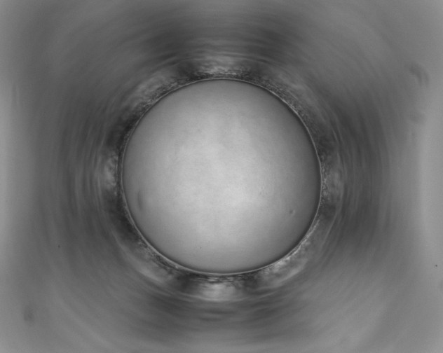 X0000111140175200906301237