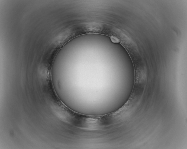 X0000111140176200906301237