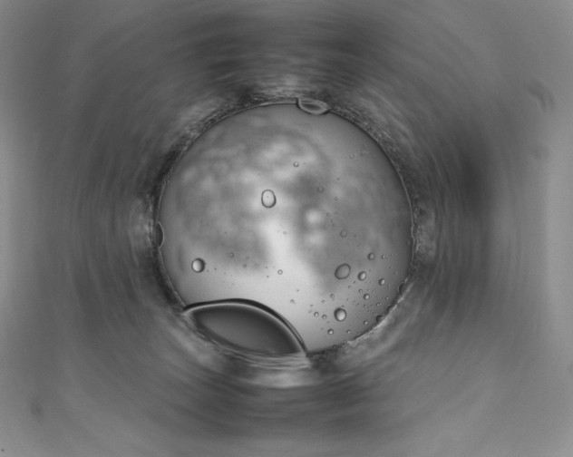 X0000111140179200906301237