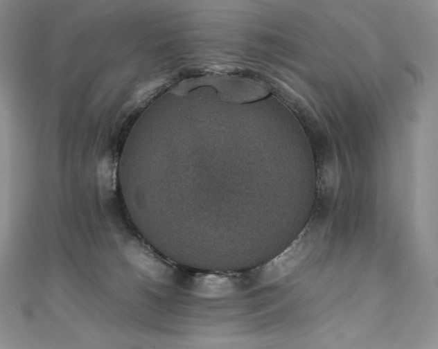 X0000111140180200906301237