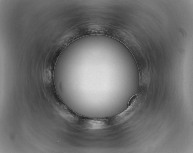 X0000111140183200906301237