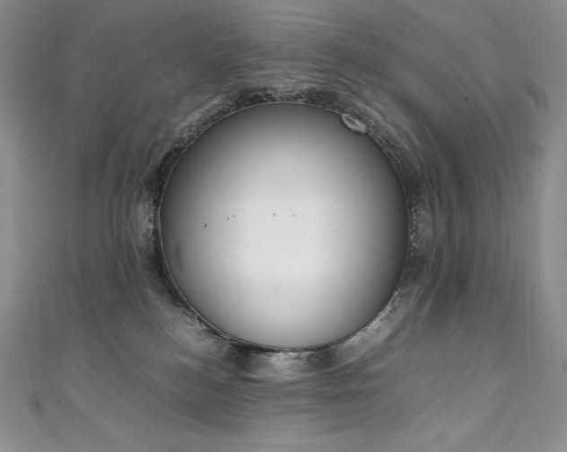 X0000111140184200906301237