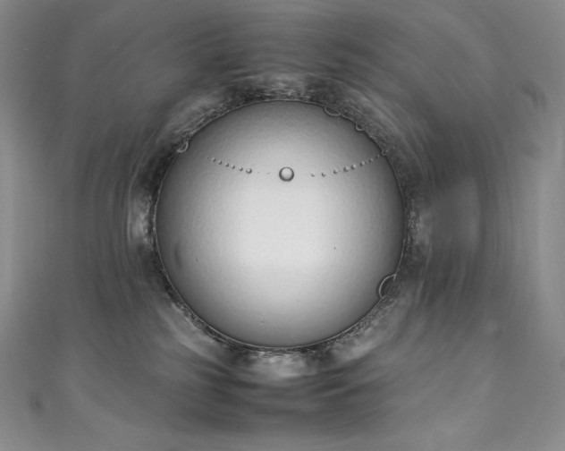 X0000111140185200906301237