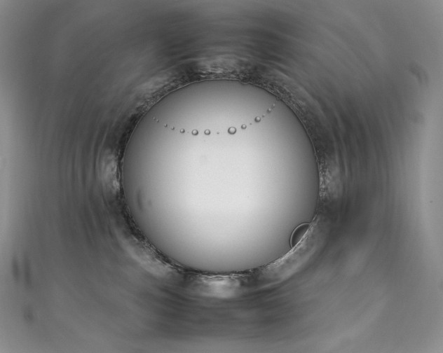 X0000111140187200906301237