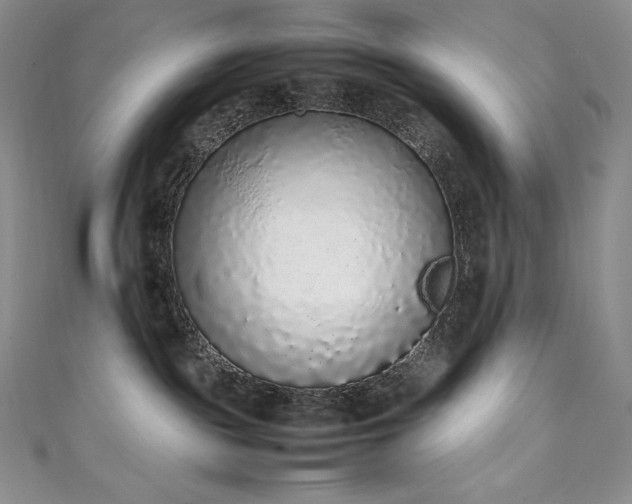 X0000111140189200906301237