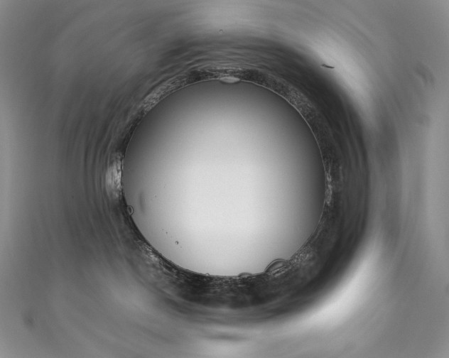 X0000111140190200906301237