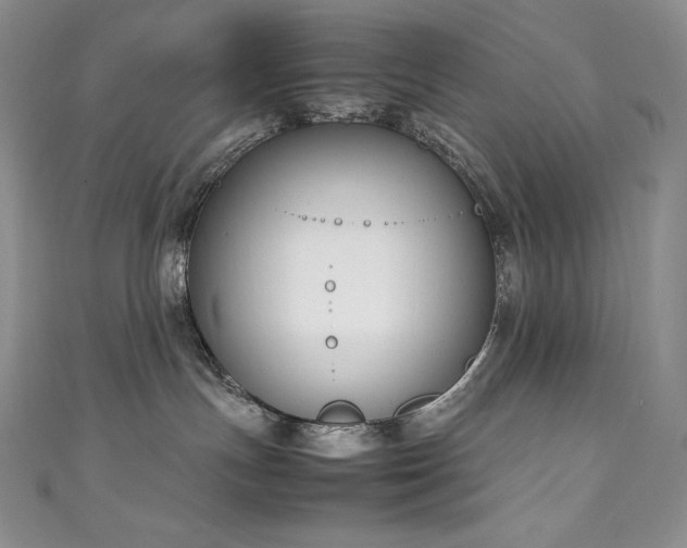 X0000111140191200906301237