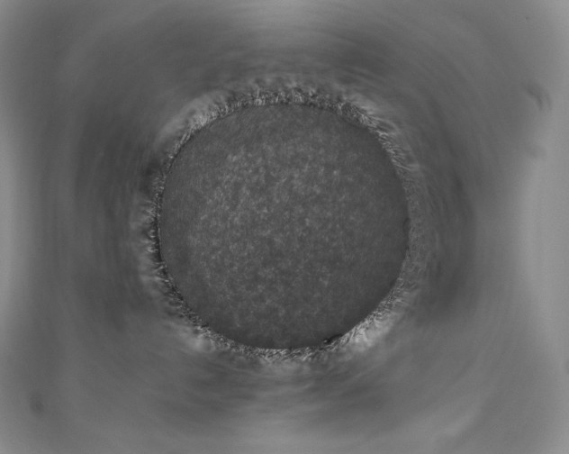 X0000111140192200906301237