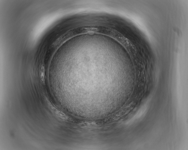 X0000111140194200906301237