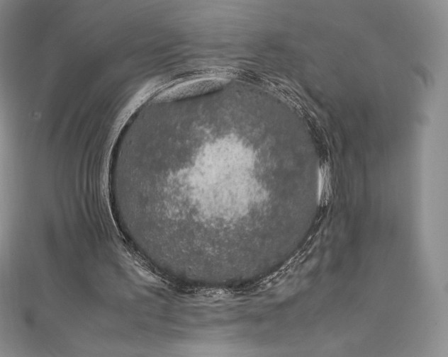 X0000111140195200906301237