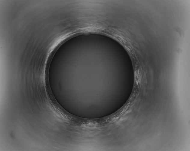 X0000111140196200906301237