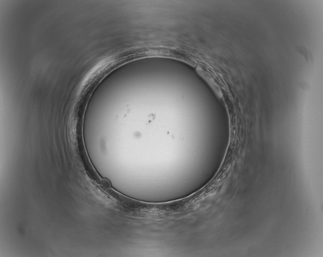 X0000111140197200906301237