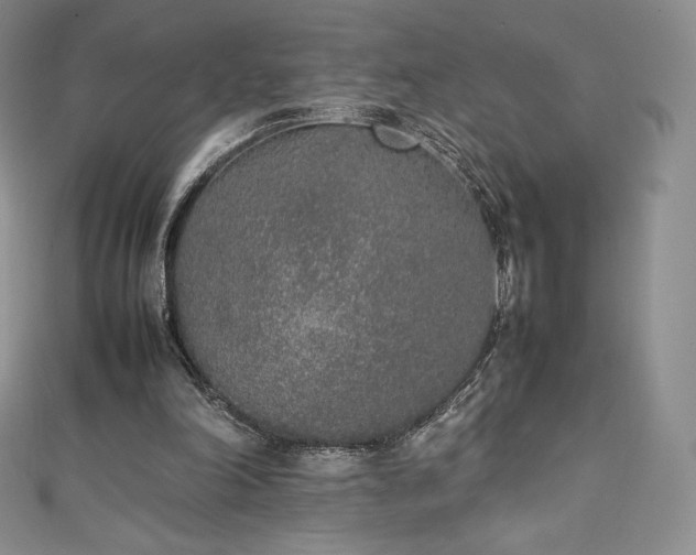 X0000111140198200906301237